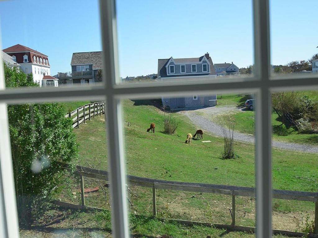 The Inn at Spring House image 9